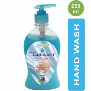 Blueberry Handwash