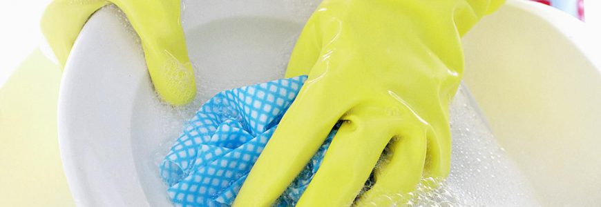 Dishwashing Gloves