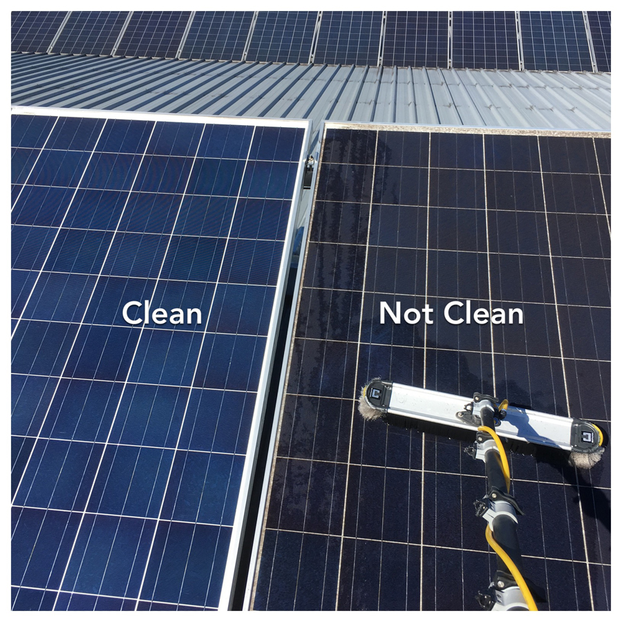 solar panel cleaning