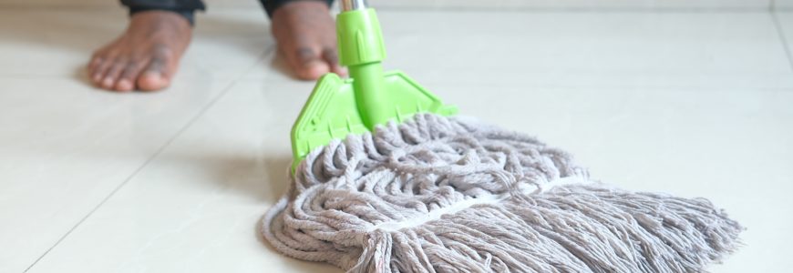 Wet Mop